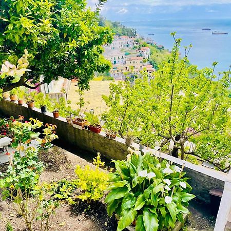 Апартаменты Borgo Virginia - Sea View In Amalfi Coast Виетри Экстерьер фото